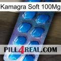 Kamagra Soft 100Mg viagra1